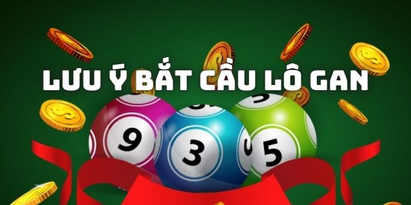 Khám phá chu kỳ lô gan Gia Lai trong thực tế