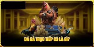 Trực Tiếp Đá Gà C3 – Giải Đá Gà Chuyên Nghiệp Hàng Đầu 2025